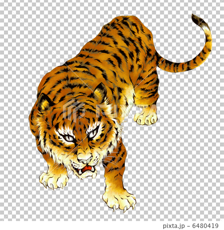 日式畫虎 6480419