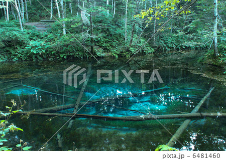 神の子池 神の子池 6481460