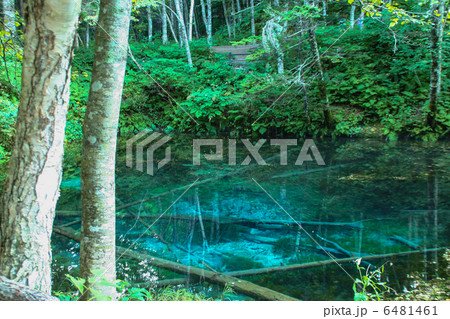 神の子池 神の子池 6481461