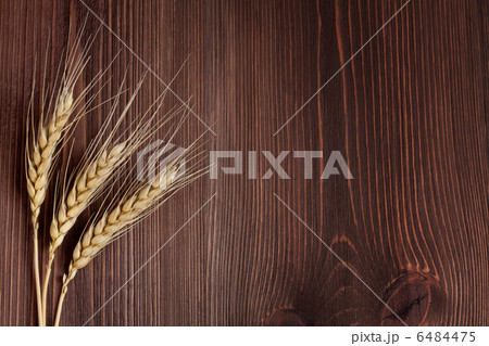 Wheat 6484475