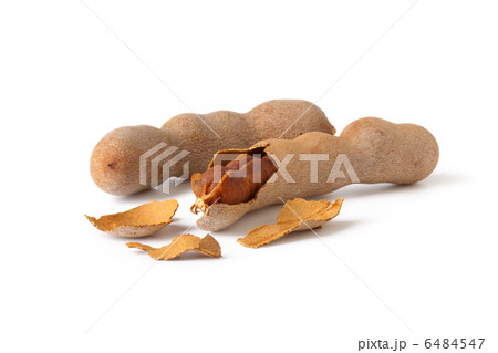 tamarind 6484547