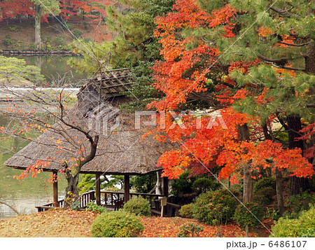 縮景園・悠々亭 6486107
