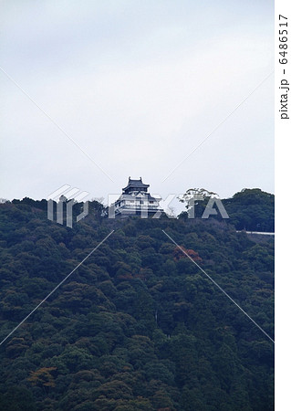 山口・岩国 岩国城 山口・岩国 岩国城 6486517