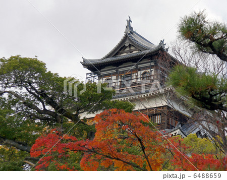 広島城 広島城 6488659