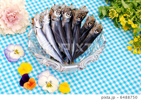 丸干し 丸干し 6488750