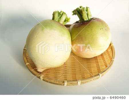 紅芯大根 6490460