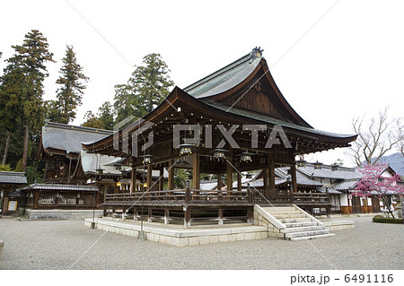 沙沙貴神社拝殿・本殿2 沙沙貴神社拝殿・本殿2 6491116