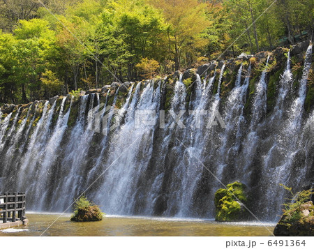 明神の滝 明神の滝 6491364