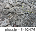 ハワイ島　溶岩流 6492476