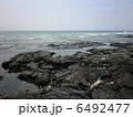 ハワイ島 6492477