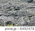 ハワイ島　溶岩流 6492478