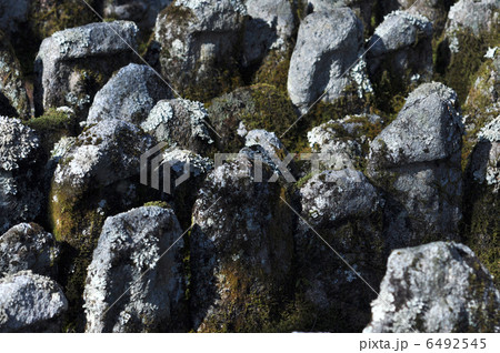 あだし野念仏寺（2013.1） 6492545