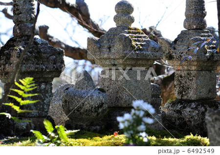 あだし野念仏寺（2013.1） 6492549