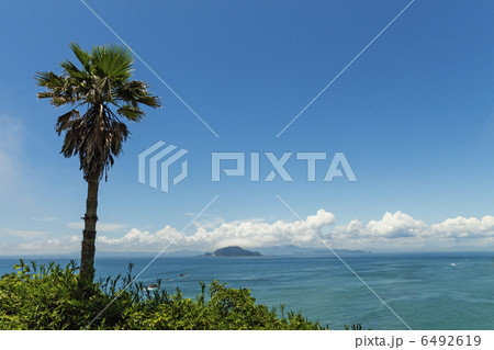 夏の伊良湖岬 6492619