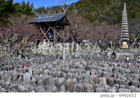 あだし野念仏寺（2013.1） 6492631