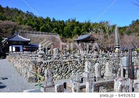 あだし野念仏寺（2013.1） 6492632