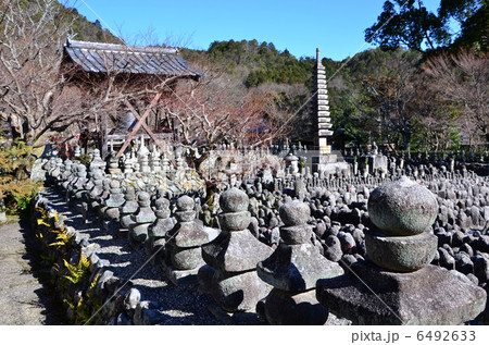 あだし野念仏寺（2013.1） 6492633