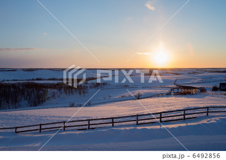 多和平 多和平 6492856