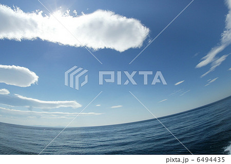 海 6494435