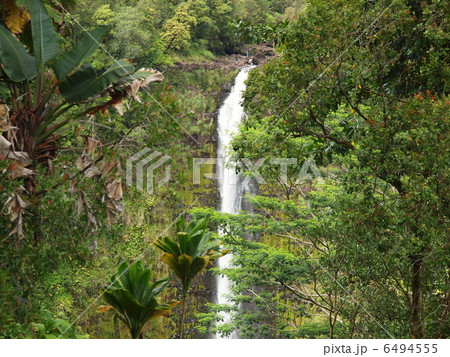 AKAKA FALLS 6494555
