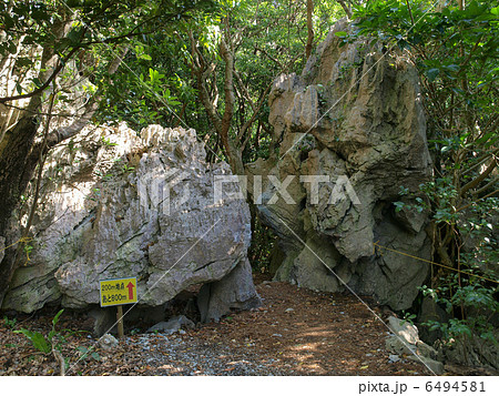 沖縄・大石林山(コースにて) 沖縄・大石林山(コースにて) 6494581