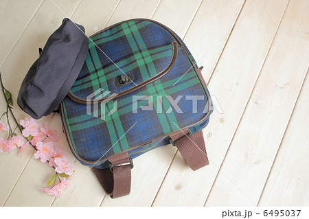 入園 入園 6495037