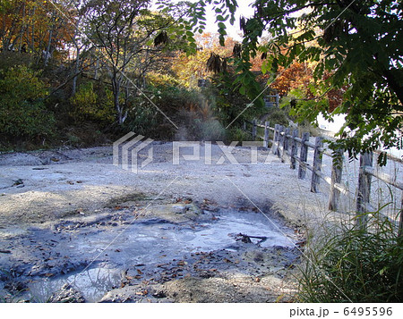 ボッケ　阿寒湖自然探勝路 6495596