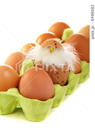 Easter eggs in a carton on a white background. 6496082