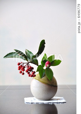 生け花? 生け花? 6496779