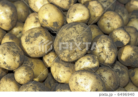 potatoes raw vegetables food on a background potatoes raw vegetables food on a background 6496940