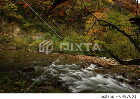 苗名滝へ 6497601