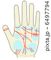 左手の手相 手相占い 丘・平原と掌線 左手の手相 手相占い 丘・平原と掌線 6497794