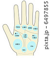 左手の手相 丘と平原 地丘入り 左手の手相 丘と平原 地丘入り 6497855