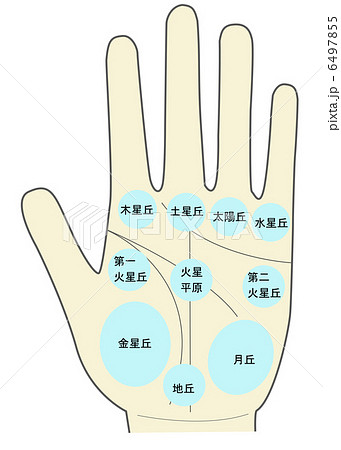 左手の手相 丘と平原 地丘入りのイラスト素材