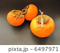 枝付柿 枝付柿 6497971