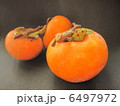 枝付柿 枝付柿 6497972