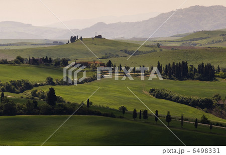 Tuscany 6498331