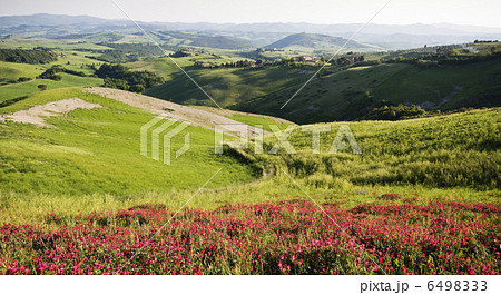 Tuscany 6498333
