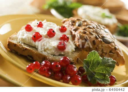 curd 6498442
