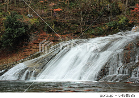 養老渓谷 6498938