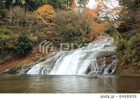 養老渓谷 6498939