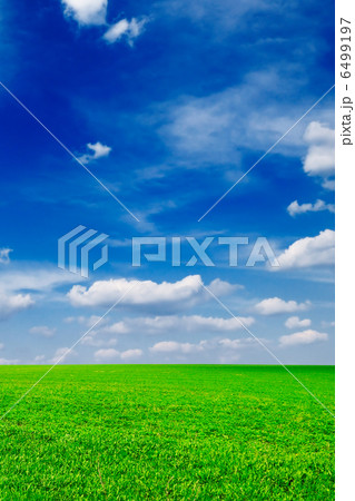 meadow meadow 6499197