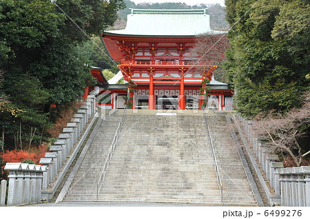 滋賀　近江神宮の楼門 6499276