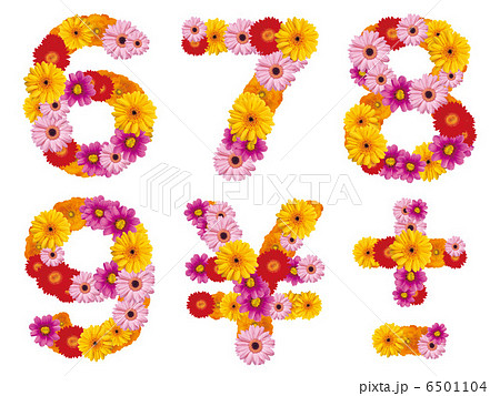 花の数字 数字 ナンバー 花 の写真素材