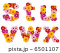 花の小文字、アルファベット、花、英語、 6501107