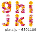 花の小文字、アルファベット、花、英語、 6501109
