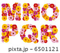 花の大文字、アルファベット、花、英語、 6501121