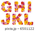 花の大文字、アルファベット、花、英語、 6501122