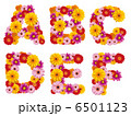 花の大文字、アルファベット、花、英語、 6501123