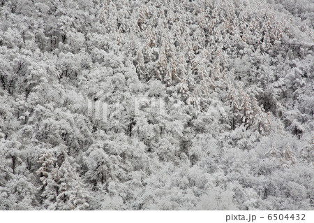 雪景色 6504432